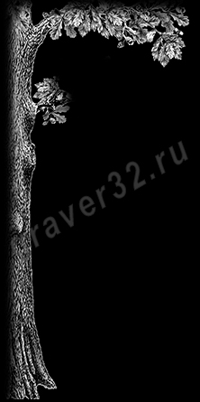 Пример оформления 32